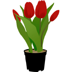チューリップ の絵 チューリップ（8） ｜ 商用可・フリー素材｜イラスト素材倉庫｜コミュ