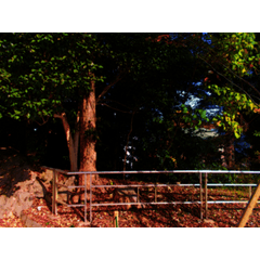 景觀2dcg 城堡花園2 背景遮蔽拼貼畫 Clip Studio Assets