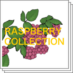 Raspberry - CLIP STUDIO ASSETS