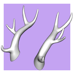 Antlers 01 - CLIP STUDIO ASSETS