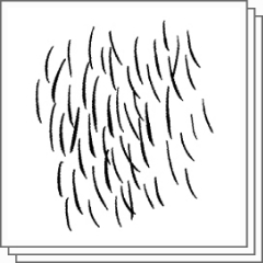 毛ブラシ Clip Studio Assets