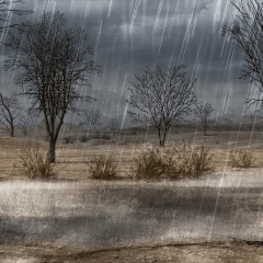 Coming to see background material Dungeon Hen ① Wilderness 