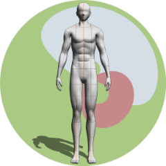 male muscular body shape - CLIP STUDIO ASSETS