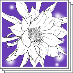 Flowers Of The Moonlight Line Drawings Set Clip Studio Assets