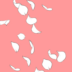 Cherry Blossom Petals Brush Clip Studio Assets