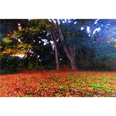 Landscape Castle Garden 5 Background Masking For Collages Clip Studio Assets