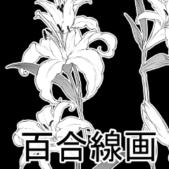 百合の絵 北斎花鳥画集 百合 | AP048 | インテリアポスター 葛飾北斎