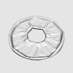 萎んだ浮き輪 Clip Studio Assets