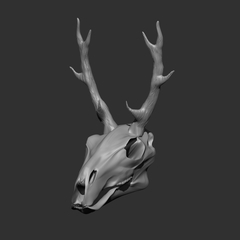 Bone Of Deer 3d Material Clip Studio Assets