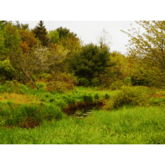 メイン州 7 CLIP STUDIO ASSETS