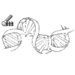 Dna Clip Studio Assets