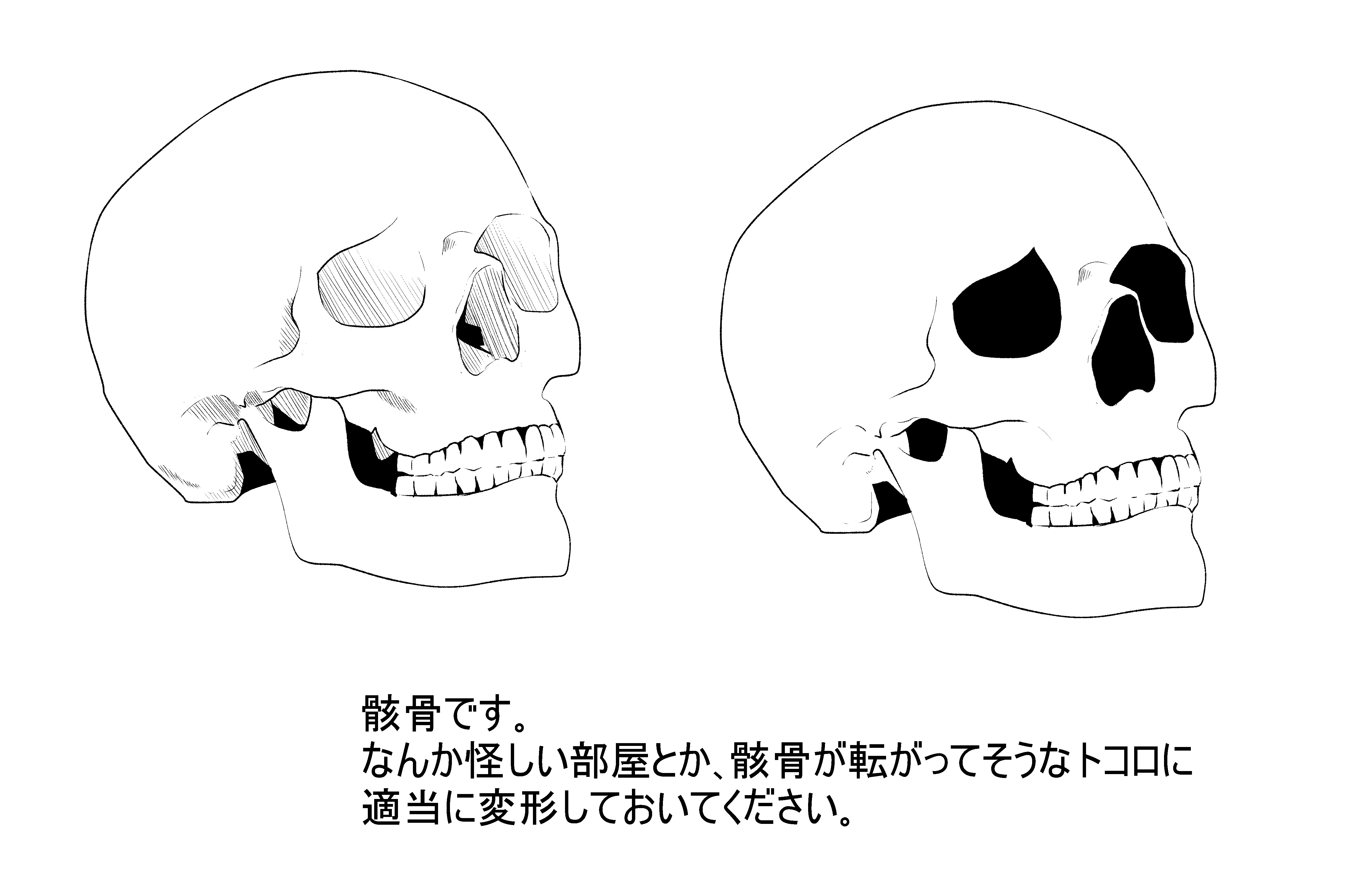 人気のコレクション 骸骨 イラスト 描き 方