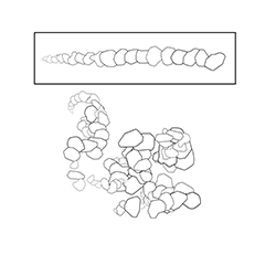 OF_ROCKS-CUMULATIVE_ROUNDED_01 - CLIP STUDIO ASSETS