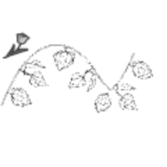 ほおずき提灯ブラシ Clip Studio Assets