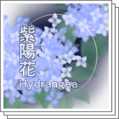 URUSHI - ブラック ペンダントライト – KANADEMONO