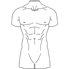 Vector Torso (South) Front - CLIP STUDIO ASSETS