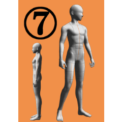 ７頭身男性 Clip Studio Assets