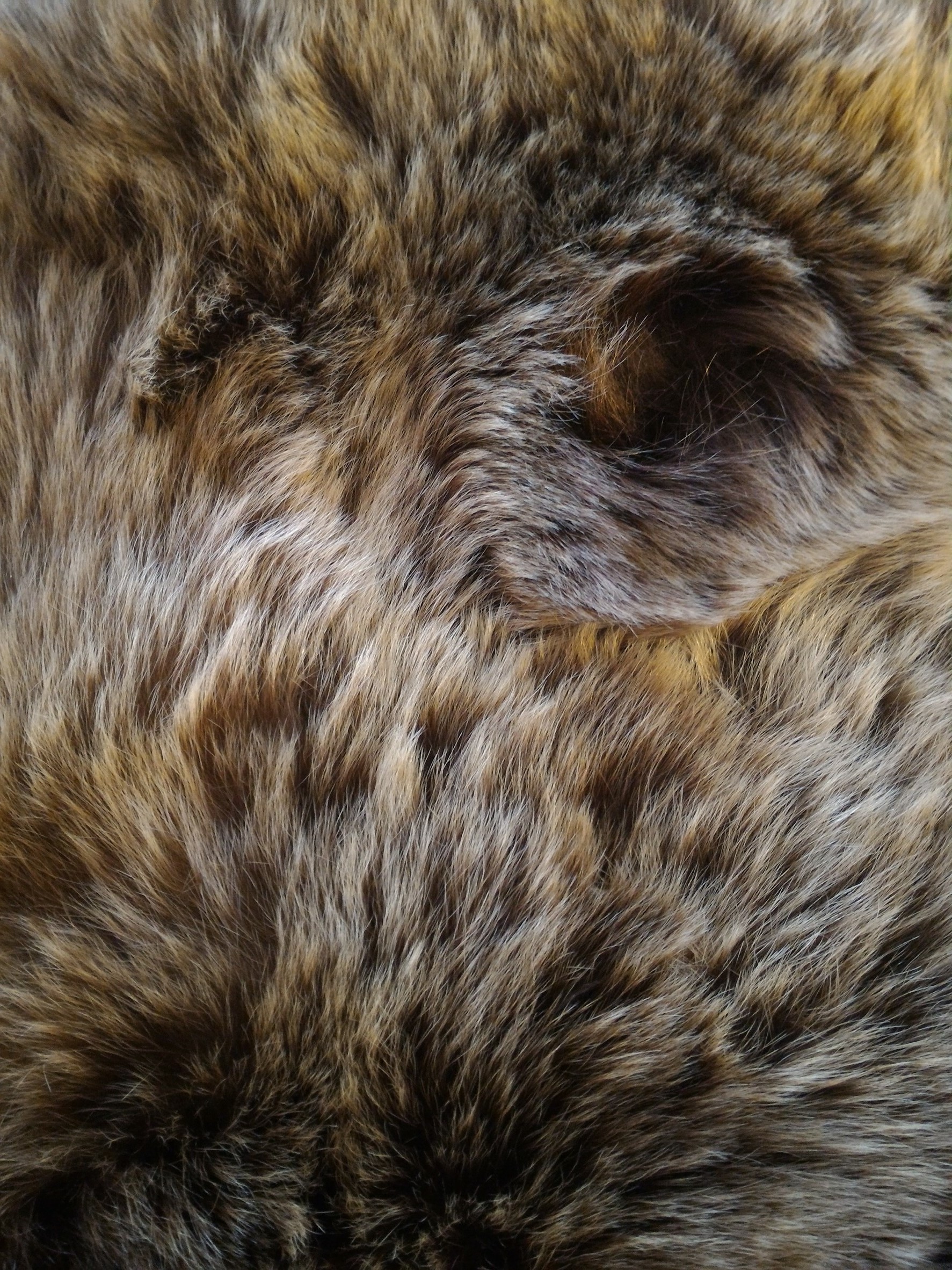 毛皮 Clip Studio Assets