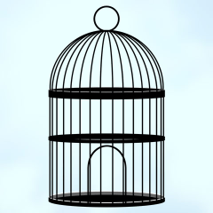 simple birdcage drawing