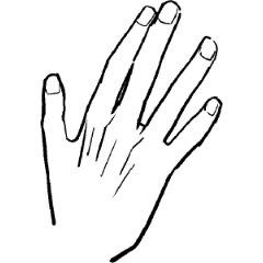 hand - CLIP STUDIO ASSETS