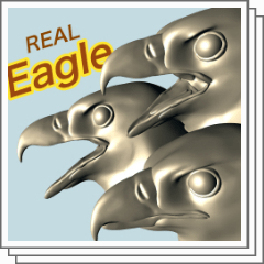 Bald Eagle Head - Buy Royalty Free 3D model by Hong Nguyen