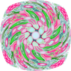 Color Swirl - CLIP STUDIO ASSETS