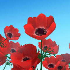 アネモネ赤 Clip Studio Assets