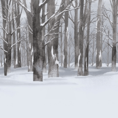 雪の森＿曇＿みにくる背景素材自然冬08＿winter_forest_k - CLIP