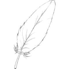 Handwritten Feather Image Clip Studio Assets