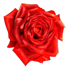 red rose - CLIP STUDIO ASSETS