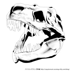 ティラノサウルス頭部化石 - CLIP STUDIO ASSETS
