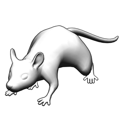 Mouse (3D) - CLIP STUDIO ASSETS