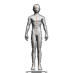 male 175cm - CLIP STUDIO ASSETS