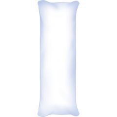 Dakimakura blank 2025