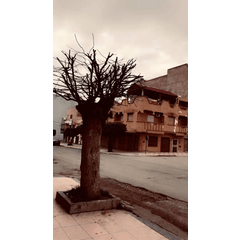 Free Period Limited Time Male Standing Pose Collection 17 Clip Studio Assets