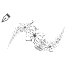 何となくエモい背景用写真 夏 Clip Studio Assets