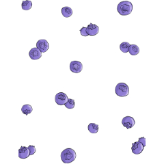 blueberry - CLIP STUDIO ASSETS
