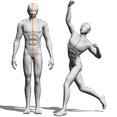 BodyType_Athletic(male) - CLIP STUDIO ASSETS