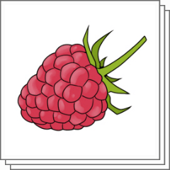 Raspberries brush - CLIP STUDIO ASSETS