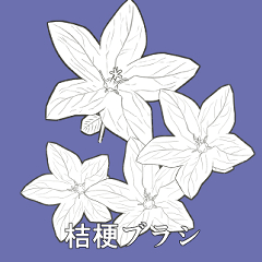 桔梗ブラシ - CLIP STUDIO ASSETS