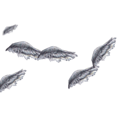 椎名翼 Clip Studio Assets