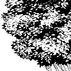 遠景葉削りブラシ Clip Studio Assets