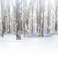 雪の森＿吹雪＿みにくる背景素材自然冬08＿winter_forest_ss