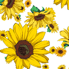 Girasol - Clip Studio Assets