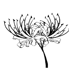 Red Spider Lily [LINEART] - CLIP STUDIO ASSETS