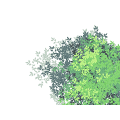 ランキング Clip Studio Assets