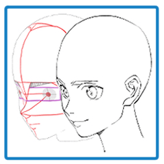 3d head model 4 in one - CLIP STUDIO ASSETS