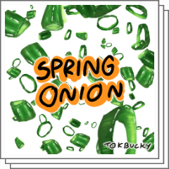 Spring Onion - CLIP STUDIO ASSETS