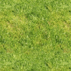 草坪 Clip Studio Assets