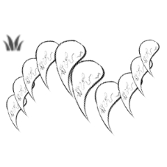 Fangs Brush - CLIP STUDIO ASSETS